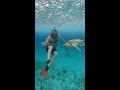 this experience was seriously unreal shorts snorkeling mexico travel travelvlog