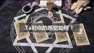 塔罗测试：你和心中的Ta是相互喜欢的吗？Ta对你的感觉如何？