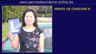 9. PERMIS DE CONDUIRE - LA VOITURE