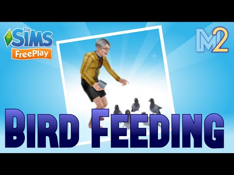 Sims FreePlay - Bird Feeding Quest & Hobby (Let's Play Ep 24) Sims FreePlay - Bird Feeding Quest & Hobby (Let's Play Ep 24)