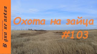 Охота на зайца. Выпуск № 103 18+