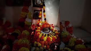 प्राचीन पापड़ेश्वर महादेव दर्शन माघ पूर्णिमा बुधवार विक्रम संवंत 2081 #mahadev #mahashivratri #shiv