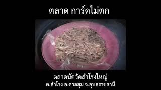 ผ่านไปแล้วตลาดการ์ดไม่ตก