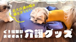 【老犬介護】頭を固定したい！オススメU字型はこれだ！