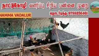 நாட்டுக்கோழி வளர்ப்பு சிறிய பண்ணை முறை எனது அனுபவம்