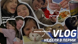 Vlog неделя в Перми.  домашние животные/ вкусная еда/ встречи и много объятий