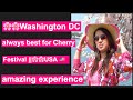 🌸🌸Washington DC || always best for Cherry Blossom Festival ||🌸🌸USA 🇺🇸 amazing experience