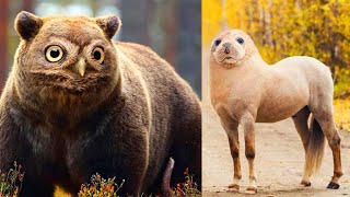 Top 10 Most Amazing Hybrid Animals You Won't Believe Exist | Things around