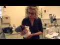 March of Dimes - Preterm Birth PSA 2015 Featuring Anne Geddes