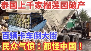 泰国上千家榴莲园破产，百辆卡车倒大街，民众气愤：都怪中国