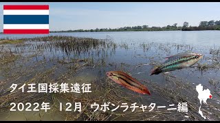 タイ遠征 2022年12月　ウボンラチャターニー編