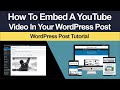 How To Embed YouTube Videos In WordPress