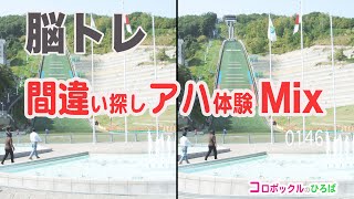 【間違い探し/進化系】さらに画像が変化！画像の一部が変化する脳トレクイズ　動体視力と集中力をトレーニングして健康寿命を延ばそう