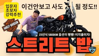 입문자 초보자 강추 편안한시트고에 다루기 쉬운 할리 스트리트밥 23년 5800km 문의 다파는오빠들 010.4078.9449