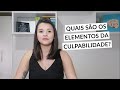 Culpabilidade    | Letícia Vilela Simões