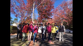 藍山布萊克希思賞楓 Autumn Leaves in Blackheath  \u0026 Govetts Leap Lookout Walk  雪梨歡樂健行2021.05.17 Anita