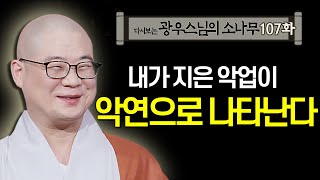 내가 지은 악업이 악연으로 나타난다 [초심으로 돌아가는 광우스님의 소나무 107회]