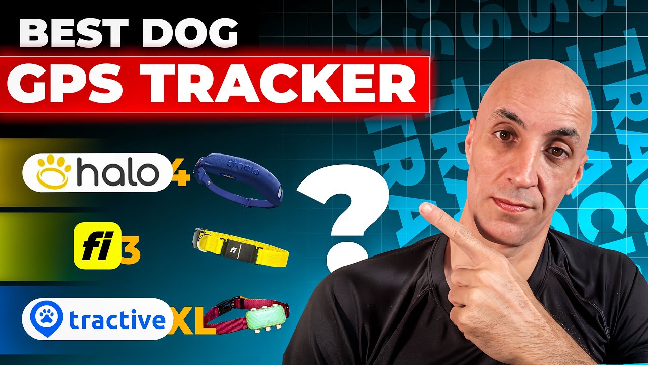Best Dog Gps Tracker 2025 Top 3 Devices Compared Youtube