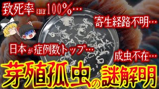 【ゆっくり解説】致死率約100%…感染経路不明…日本が最も危険…最恐の寄生虫「芽殖孤虫」の謎解明【知られざる生物雑学】【閲覧注意】