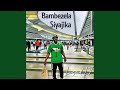 Insimbi edle ezinye
