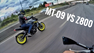 MT-09 2017 VS Z800 + TOP SPEED