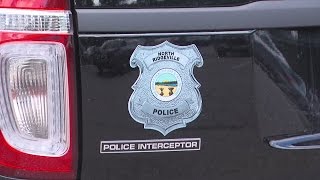 Lorain County Sheriff deputy injured in hit-skip