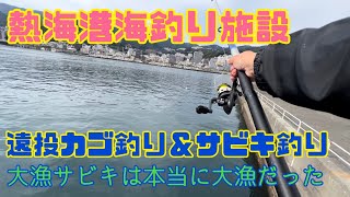 『熱海港海釣り施設』遠投カゴ釣り&サビキ釣り　大漁サビキは本当に大漁だったー