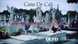 Cano De Cali Me Encuentro Triste (QEPD Borrado)