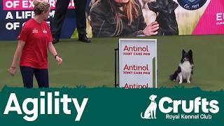 Agility Championship - Small/Medium Final | Crufts 2026