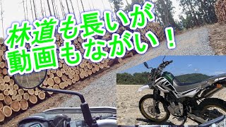 【ロングダート‼️南蔵王林道∼不忘山林道】セロー250　林道ツーリング