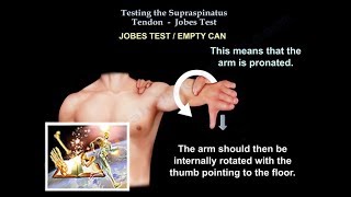 Testing the Supraspinatus muscle , Jobes Test - Everything You Need To Know - Dr. Nabil Ebraheim