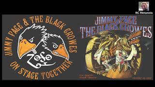 Jimmy Page and The Black Crows LIVE at The Greek 1999