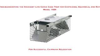 Successful Chipmunk Relocation using Havahart Cage Trap 1025