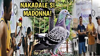 SHOW BIRD SI MADONNA YB POOLING WINNER PA!