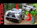 Lexus GX 460 vs Toyota Land Cruiser: Is The GX The New KING Of Overlanding?