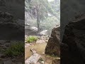 சாரல் மழை in slow motion kolli hills waterfall shorts