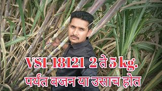 🌱VSI-18121 उसाची नवीन जात. कमी दिवसांमध्ये जास्त वजन व जास्त साखर असलेला ऊस.86032+8201 क्रॉस वरायटी🌱