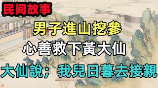 男子進山挖參，心善救下黃大仙，大仙說；我兒日暮去接親