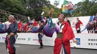 國士舞双 / 原宿表参道元氣祭り スーパーよさこい / 神宮会館ステージ / 2024-08-25