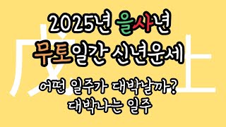 2025년 을사년 [무토일간] 신년운세 대박나는 무토일주 연애운 관운 두마리 토끼를 다 잡는 무토일간 일주는? 대박나는 무토일간 일주