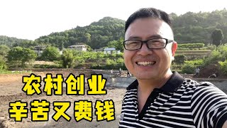 農場需要繼續投資，農村創業辛苦又費錢，道哥為啥很看好？ 【90後寶媽雯雪】