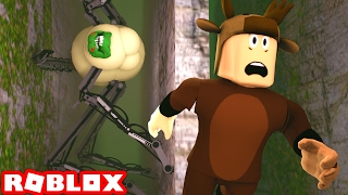 The Labyrinth Exit Of The Maze Robloc Sky Sick - 