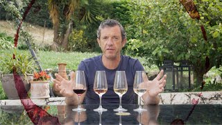 Learn with Brad . Wine Colours Explained