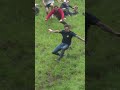 cheese rolling 😂