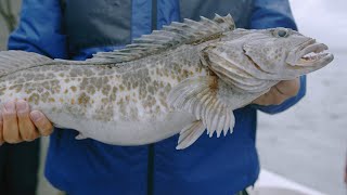 Fishing BC Presents: Year Round in Tofino with Cleanline Sportfishing