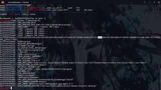 Exploiting a simple buffer overflow vulnerability | Binary Exploitation