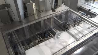 Automatic Packaging machine Bucket Denesting