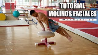 TUTORIAL - MOLINOS faciales - WX