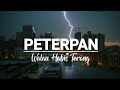 PETERPAN - Walau Habis Terang (Lirik + Cover by Meisita Lomania)