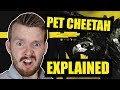 "Pet Cheetah" Twenty One Pilots Song Lyrics Explained!!!